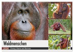 Waldmenschen – Orang Utans auf Borneo (Wandkalender 2024 DIN A2 quer), CALVENDO Monatskalender von Herzog,  Michael
