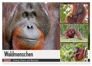 Waldmenschen – Orang Utans auf Borneo (Wandkalender 2024 DIN A2 quer), CALVENDO Monatskalender von Herzog,  Michael