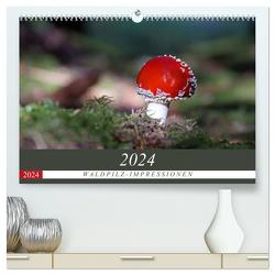 Waldpilz-Impressionen (hochwertiger Premium Wandkalender 2024 DIN A2 quer), Kunstdruck in Hochglanz von Flori0,  Flori0