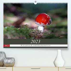Waldpilz-Impressionen (Premium, hochwertiger DIN A2 Wandkalender 2023, Kunstdruck in Hochglanz) von Flori0