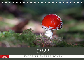 Waldpilz-Impressionen (Tischkalender 2022 DIN A5 quer) von Flori0