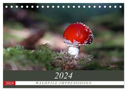Waldpilz-Impressionen (Tischkalender 2024 DIN A5 quer), CALVENDO Monatskalender von Flori0,  Flori0
