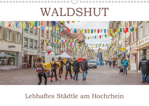 Waldshut – Lebhaftes Städtle am Hochrhein (Wandkalender 2021 DIN A3 quer) von Brunner-Klaus,  Liselotte