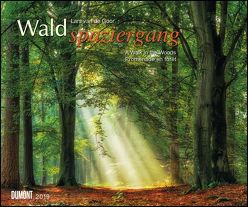 Waldspaziergang 2019 – Fotokunst-Kalender – Querformat 58,4 x 48,5 cm – Spiralbindung von de Goor,  Lars van, DUMONT Kalenderverlag
