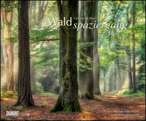 Waldspaziergang 2023 – Fotokunst-Kalender – Querformat 60 x 50 cm – Spiralbindung von Goor,  Lars van de