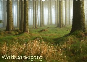 Waldspaziergang (Posterbuch DIN A2 quer) von N.,  N.