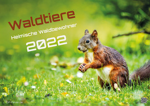 Waldtiere – Heimische Waldbewohner – Der Tierkalender – 2022 – Kalender DIN A2