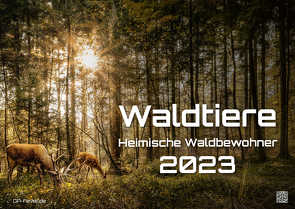 Waldtiere – Heimische Waldbewohner – Der Tierkalender – 2023 – Kalender DIN A2