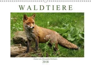 Waldtiere (Wandkalender 2018 DIN A3 quer) von Hollstein,  Alexandra