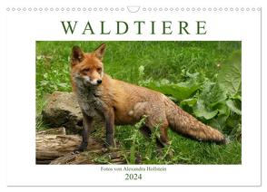 Waldtiere (Wandkalender 2024 DIN A3 quer), CALVENDO Monatskalender von Hollstein,  Alexandra