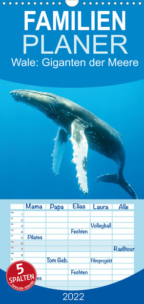 Familienplaner Wale: Giganten der Meere (Wandkalender 2022 , 21 cm x 45 cm, hoch) von CALVENDO