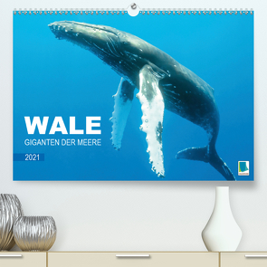 Wale: Giganten der Meere (Premium, hochwertiger DIN A2 Wandkalender 2021, Kunstdruck in Hochglanz) von CALVENDO