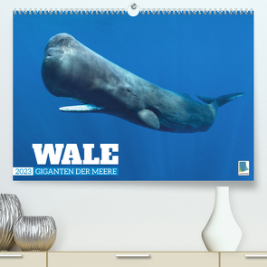 Wale: Giganten der Meere (Premium, hochwertiger DIN A2 Wandkalender 2023, Kunstdruck in Hochglanz) von CALVENDO