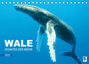 Wale: Giganten der Meere (Tischkalender 2022 DIN A5 quer) von CALVENDO