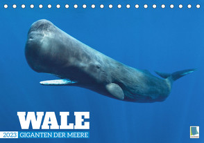 Wale: Giganten der Meere (Tischkalender 2023 DIN A5 quer) von CALVENDO