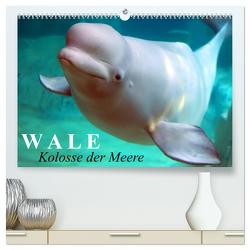 Wale – Kolosse der Meere (hochwertiger Premium Wandkalender 2024 DIN A2 quer), Kunstdruck in Hochglanz von Stanzer,  Elisabeth