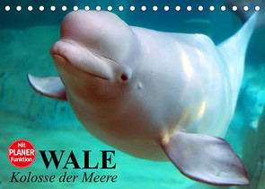 Wale. Kolosse der Meere (Tischkalender 2022 DIN A5 quer) von Stanzer,  Elisabeth