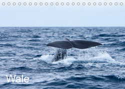 Wale (Tischkalender 2023 DIN A5 quer) von Gulbins,  Helmut