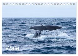Wale (Tischkalender 2024 DIN A5 quer), CALVENDO Monatskalender von Gulbins,  Helmut