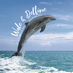 Wale und Delfine 2022 von Korsch Verlag