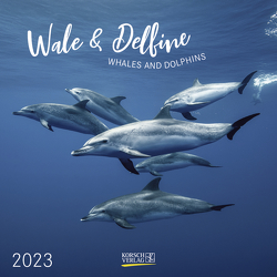 Wale und Delfine 2023 von Korsch Verlag