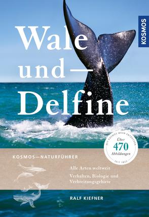 Wale und Delfine von Kiefner,  Ralf