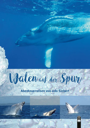 Walen auf der Spur von Siebert,  Udo