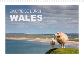 Wales / AT-Version (Wandkalender 2023 DIN A3 quer) von Steiner & Günter Hofmann,  Ingrid