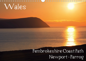 Wales – Pembrokeshire Coast Path (Wandkalender 2021 DIN A3 quer) von Petra Voß,  ppicture-