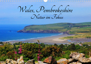 Wales Pembrokeshire – Natur im Fokus- (Wandkalender 2023 DIN A3 quer) von Valder,  Natascha