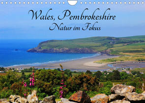 Wales Pembrokeshire – Natur im Fokus- (Wandkalender 2023 DIN A4 quer) von Valder,  Natascha