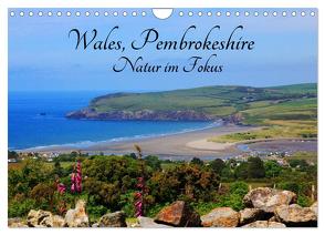 Wales Pembrokeshire – Natur im Fokus- (Wandkalender 2024 DIN A4 quer), CALVENDO Monatskalender von Valder,  Natascha