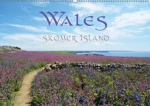WALES Skomer Island (Wandkalender 2018 DIN A2 quer) von Uhl,  Ruth