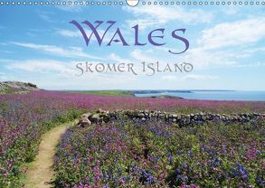 WALES Skomer Island (Wandkalender 2018 DIN A3 quer) von Uhl,  Ruth