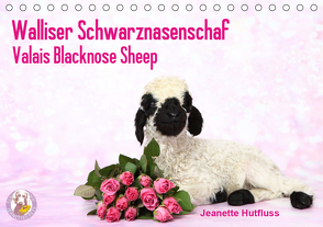 Walliser Schwarznasenschaf Valais Blacknose Sheep (Tischkalender 2021 DIN A5 quer) von Hutfluss,  Jeanette