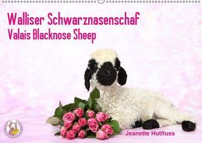 Walliser Schwarznasenschaf Valais Blacknose Sheep (Wandkalender 2019 DIN A2 quer) von Hutfluss,  Jeanette