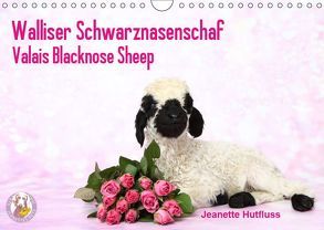 Walliser Schwarznasenschaf Valais Blacknose Sheep (Wandkalender 2019 DIN A4 quer) von Hutfluss,  Jeanette