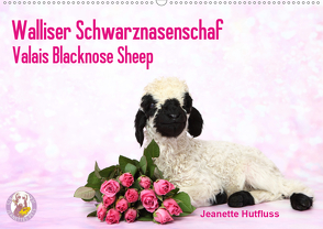 Walliser Schwarznasenschaf Valais Blacknose Sheep (Wandkalender 2020 DIN A2 quer) von Hutfluss,  Jeanette