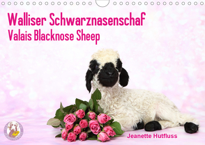 Walliser Schwarznasenschaf Valais Blacknose Sheep (Wandkalender 2021 DIN A4 quer) von Hutfluss,  Jeanette