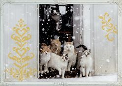 Wand-Adventskalender – Katzen-Winterträume