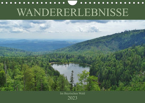 Wandererlebnisse im Bayrischen Wald (Wandkalender 2023 DIN A4 quer) von Janke,  Andrea
