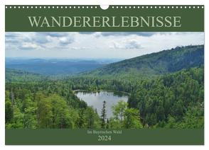 Wandererlebnisse im Bayrischen Wald (Wandkalender 2024 DIN A3 quer), CALVENDO Monatskalender von Janke,  Andrea