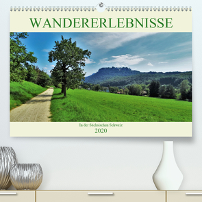 Wandererlebnisse in der Sächsischen Schweiz (Premium, hochwertiger DIN A2 Wandkalender 2020, Kunstdruck in Hochglanz) von Janke,  Andrea