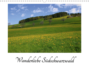 Wanderliebe Südschwarzwald (Wandkalender 2020 DIN A3 quer) von Mantke,  Michael