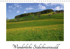 Wanderliebe Südschwarzwald (Wandkalender 2020 DIN A4 quer) von Mantke,  Michael