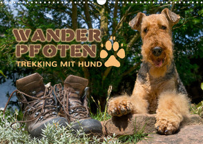 Wanderpfoten. Trekking mit Hund (Wandkalender 2023 DIN A3 quer) von Becker,  Antje
