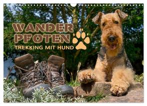 Wanderpfoten. Trekking mit Hund (Wandkalender 2024 DIN A3 quer), CALVENDO Monatskalender von Becker,  Antje