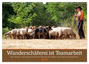 Wanderschäferei ist Teamarbeit (Wandkalender 2024 DIN A3 quer), CALVENDO Monatskalender von Sixt,  Marion