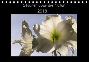 Wandkalender 2018 Din A4 quer (Tischkalender 2018 DIN A5 quer) von N.,  N.