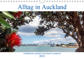 Wandkalender Auckland 2019 DIN A4 Quer (Wandkalender 2019 DIN A4 quer) von by Daniel Eisenhut,  Aucklife